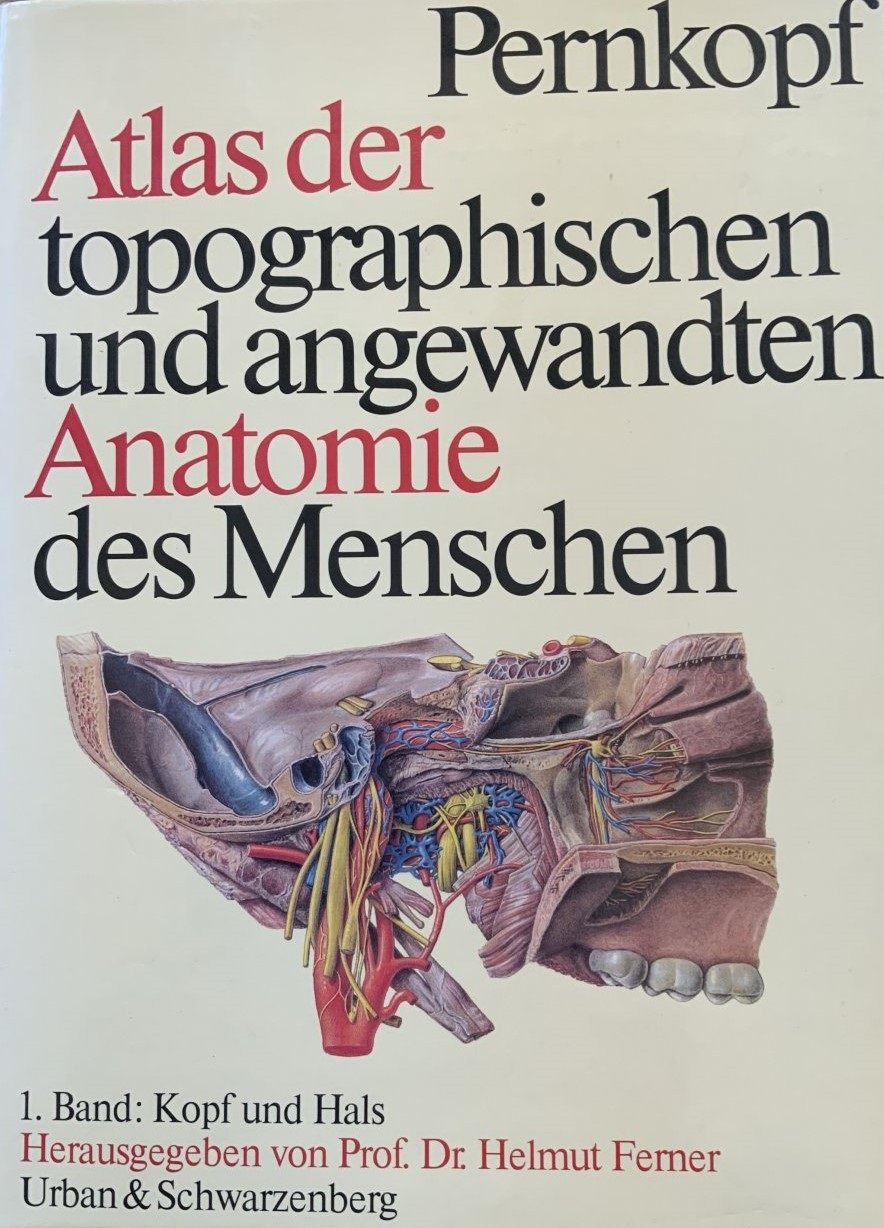 Atlas der Klassischen Archäologie Klassische Archäologie: Grundwissen : Hölscher, Tonio